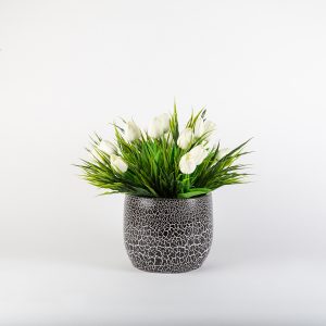 Aura Tombul Çatlak Desen